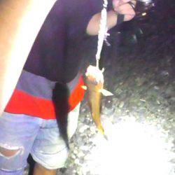 アオリイカまだまだ！ソウダガツオは好調